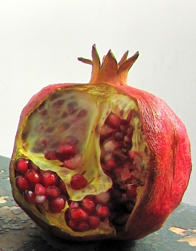 Goldenhorn Art, Goldenhorn Media and Goldenhorn Projects based in Istanbul and New York.