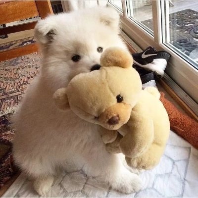 kuiqchfnba1's profile picture. 快乐小狗 天天开心