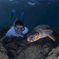 Vincent Tarrit (@tarritvincent) 's Twitter Profile