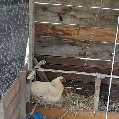 MariaBatalla12's profile picture. 