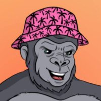 🌴SMR MNKY | SOON ON SOLANA🌴 (@smr_mnky) 's Twitter Profile