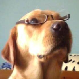 naomiparkerr's profile picture. 