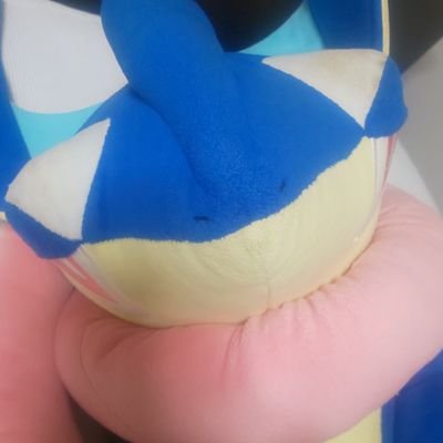 初めまして、ポケモンが大好きで、ポケモンの「ゲッコウガ」が大好きな自分ですゲコ。最推しですゲコ(///ω///)♪
なので語尾に、ゲコを付けさせて頂きますゲコ。よろしくお願いしますゲコ。