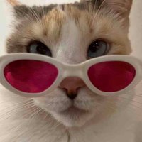 Ghstr (@ghstr_cs) 's Twitter Profile