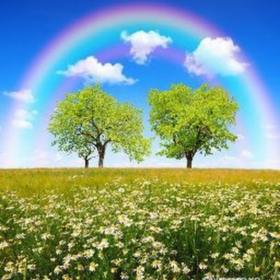 ROSAMARIABUEN14's profile picture. Trabajadora Social en Consejería de Familia, Juventud y Política Social