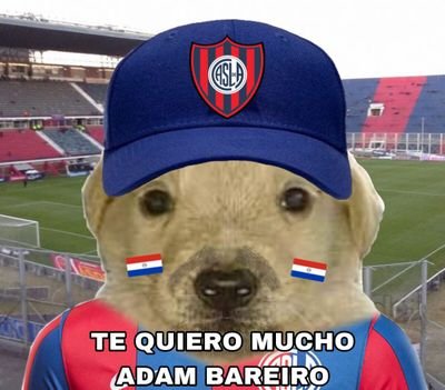 😴
🇦🇷🇵🇾
San lorenzo❤️💙