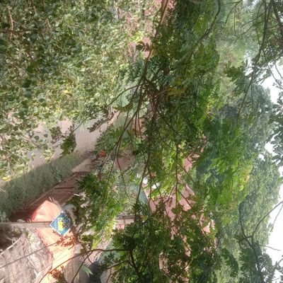 Debabra742147's profile picture. 💯💯💯% follow back anytime 💯💯