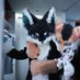 杰洛 (@furry8888) Twitter profile photo 杰洛 (@furry8888) Twitter profile photo