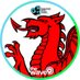 South Wales News (@SouthWales_News) Twitter profile photo