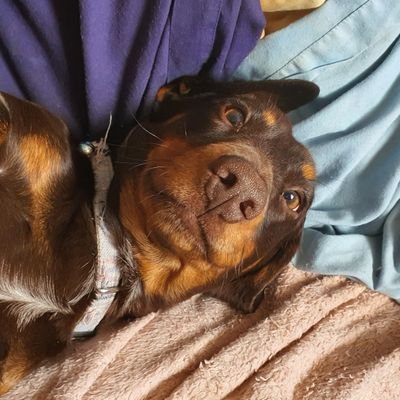 griffths2001's profile picture. 