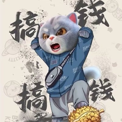 lishanfei2's profile picture. 