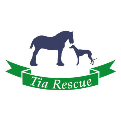 At Tia Greyhound and Lurcher Rescue, we aim to relieve the suffering of dogs and horses, in particular Greyhounds, Lurchers and Heavy Horses.