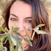 Sarah Toumi (@sarahtoumi) Twitter profile photo Sarah Toumi (@sarahtoumi) Twitter profile photo