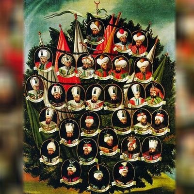 MehmetO45177672's profile picture. 