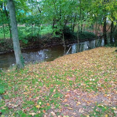 umutvar287's profile picture. Sevelim sevilelim...