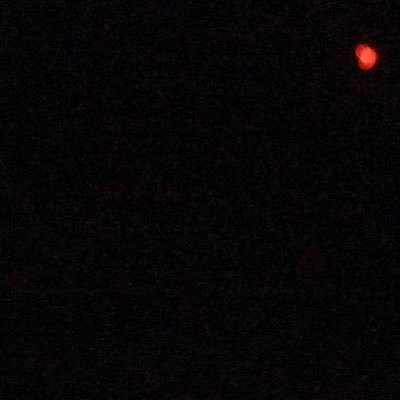 Larissajo_'s profile picture. @larissa_iU