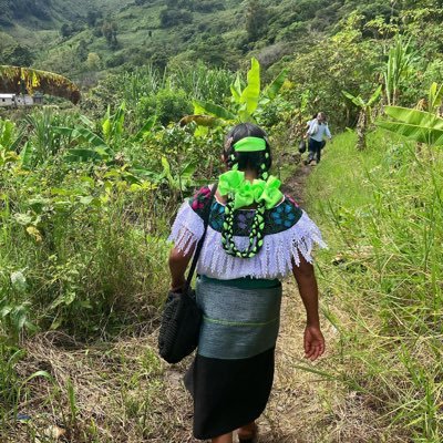 LauraHe92122251's profile picture. 