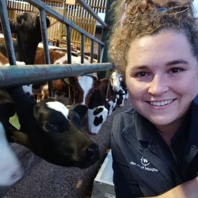 New Graduate Farm Vet in Sussex @Westpoint_Vets