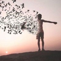 A Whirling Dervish (@leomab21) 's Twitter Profile