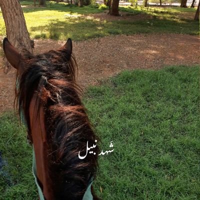 إنّما الآباء رحمة الله بِنا، اللهّم جازهِم عنّا
خير الجَزاء 🤍🦋.