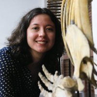 Luiza Caires - jornalista de ciências(@luizacaires3) 's Twitter Profile Photo