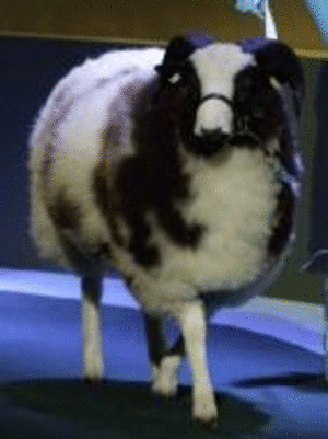 kevin.gif