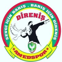 Amedspor Direniş Grubu(@AmedSporDirenis) 's Twitter Profile Photo