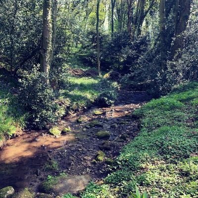 cgfdvhgfbb's profile picture. 