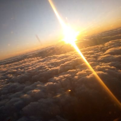 nzezam's profile picture. Aussi éphémère que les rêves et les ombres, aussi capricieuse que la rosée et l'éclair, telle est la vie. Seul l'être qui compte et non les titres.✊🏽 #Mind