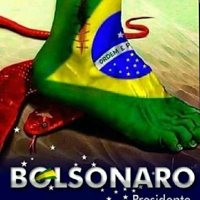 Patriota flamenguista brasileiro Deus pátria família e liberdade 🇧🇷🇧🇷🇧🇷❤️🖤