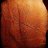 Lilacedar's profile image