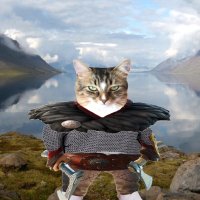 Viking Bella 🌻🐈 🐈⬛ (@poesjeinboots) 's Twitter Profile