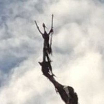 nirdvaita's profile picture. Due to my strong personal convictions, I wish to stress that this account in no way endorses a practice of the politic