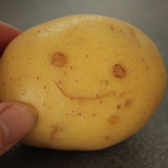 BigStoicPotato Profile Picture