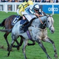Akela Thoroughbreds (@akelathoroughb1) 's Twitter Profile Photo Akela Thoroughbreds (@akelathoroughb1) 's Twitter Profile Photo