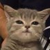 รอดูทุกวันอยู่นะ แจ้งโอนแล้วหาย แคปประจาน (@justgetarcher) Twitter profile photo รอดูทุกวันอยู่นะ แจ้งโอนแล้วหาย แคปประจาน (@justgetarcher) Twitter profile photo