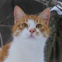 The Squid (@thesqui29961782) 's Twitter Profile Photo The Squid (@thesqui29961782) 's Twitter Profile Photo