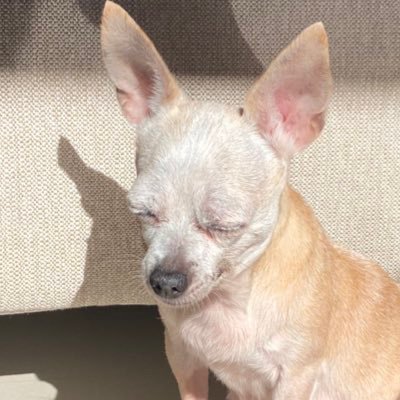 Luis_Coutino's profile picture. notas de odio.