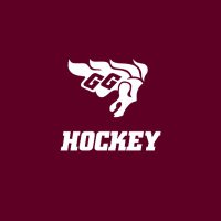 Gee-Gees Women’s Hockey | Hockey féminin(@GeeGeesWHOC) 's Twitter Profile Photo