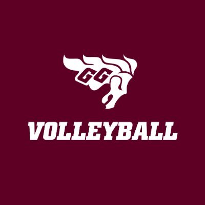 GeeGeesWVB Profile Picture