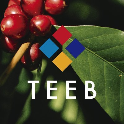 TEEB AgriFood Café México genera información para orientar la política pública hacia la sustentabilidad del sector cafetalero.