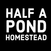 Half A Pond (@half_a_pond) 's Twitter Profile Photo Half A Pond (@half_a_pond) 's Twitter Profile Photo