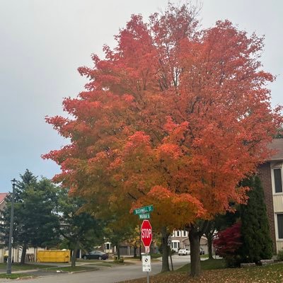 IrfanZia2's profile picture. REALTOR, Royal LePage! Love Cooking, BBQ, Traveling, Cricket and Exercise