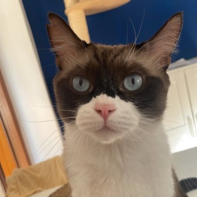 alex39528378's profile picture. 