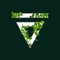 Velas || $VLX (@vlxblockchain) 's Twitter Profile