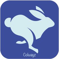 Pape Husayn (@mr_firmware) 's Twitter Profile