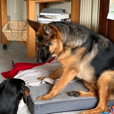 PaulButtinger's profile picture. Gepensioneerde ondernemer met brede interesse