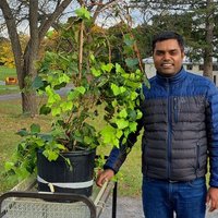 Surya Sapkota (@dattu_51) 's Twitter Profile Photo