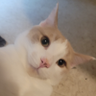GregorZamor's profile picture.