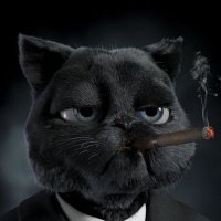 Hipokratê brezè ne bîjîjko (@hipokrat_karker) 's Twitter Profile